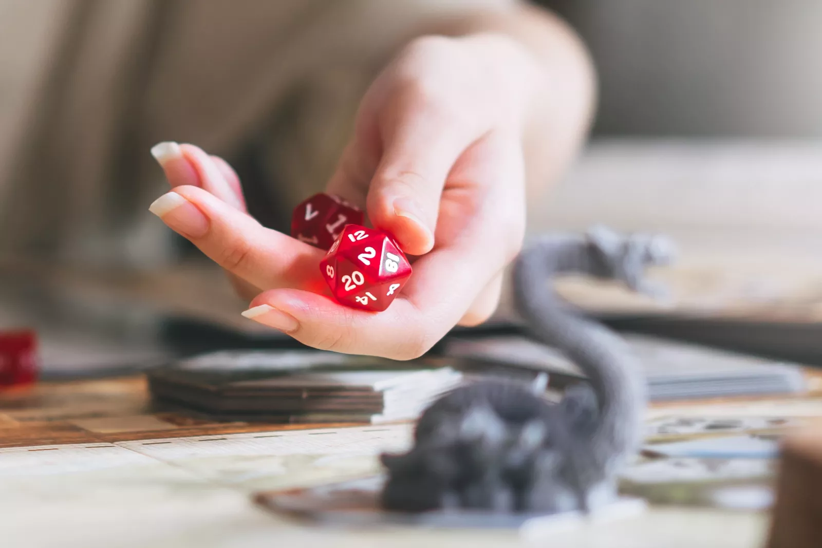 Image of a person playing D&D